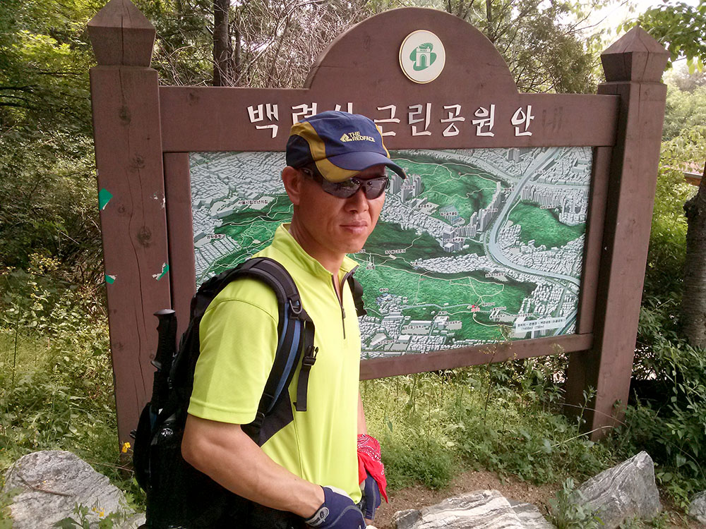 백련산(Baengnyeonsan Mountain)의 소나무 능선길