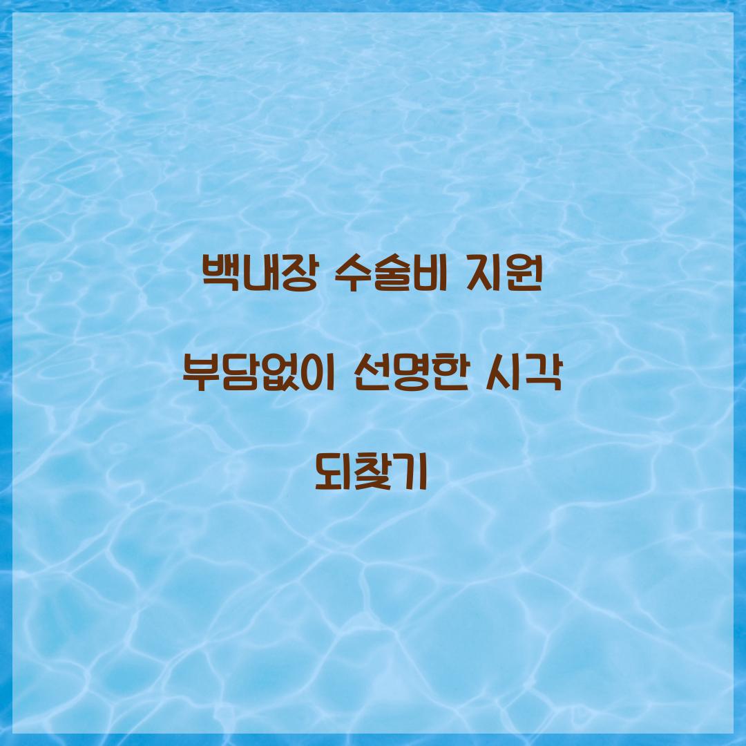 백내장 수술비 지원