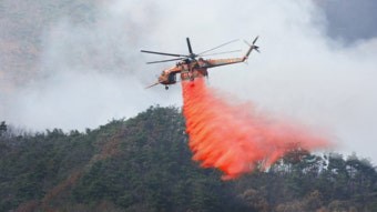 소방헬기로-빨간-항공유를-뿌려-산불을-진화하는-모습