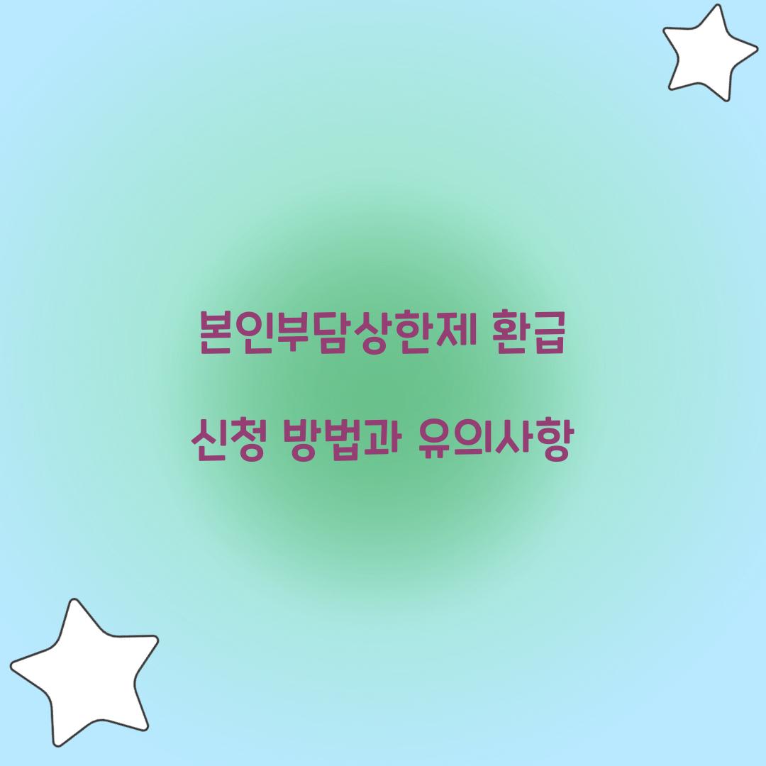 본인부담상한제 환급