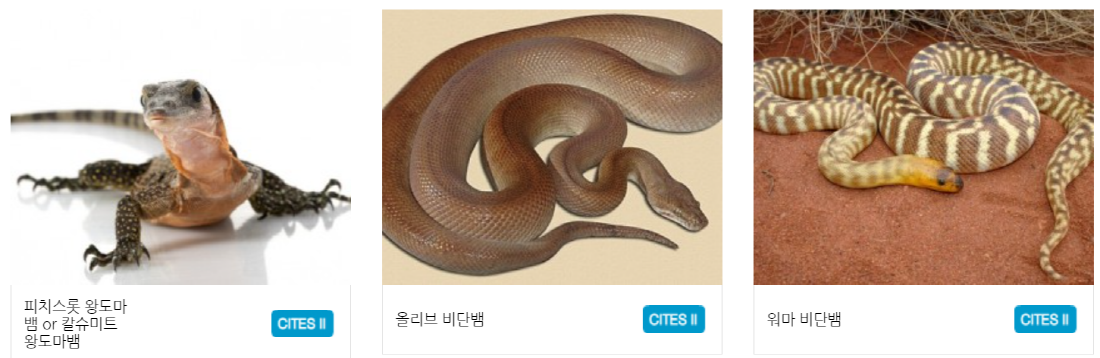 구미 쥬쥬동산
