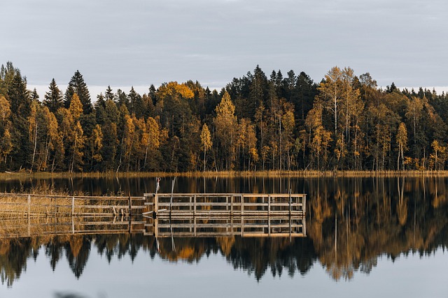 2025 숙박세일페스타 할인쿠폰 발급방법