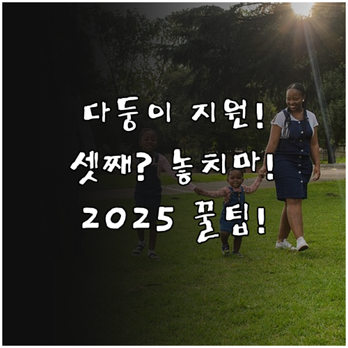 2025년 충주시 다태아축하금 및 셋..