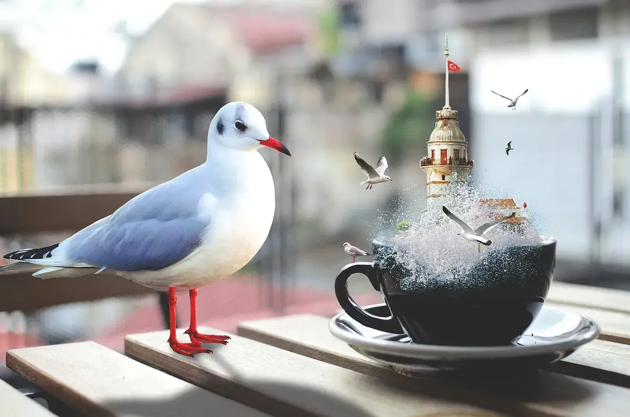 아시아나 대한항공 마일리지 전환