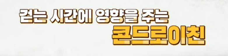 콘드로이친
