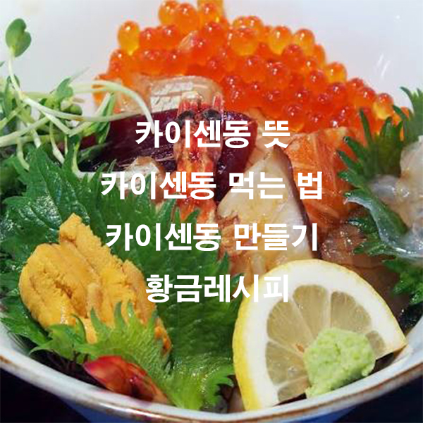 카이센동 뜻 카이센동 먹는 법 카이센동 만들기 황금레시피