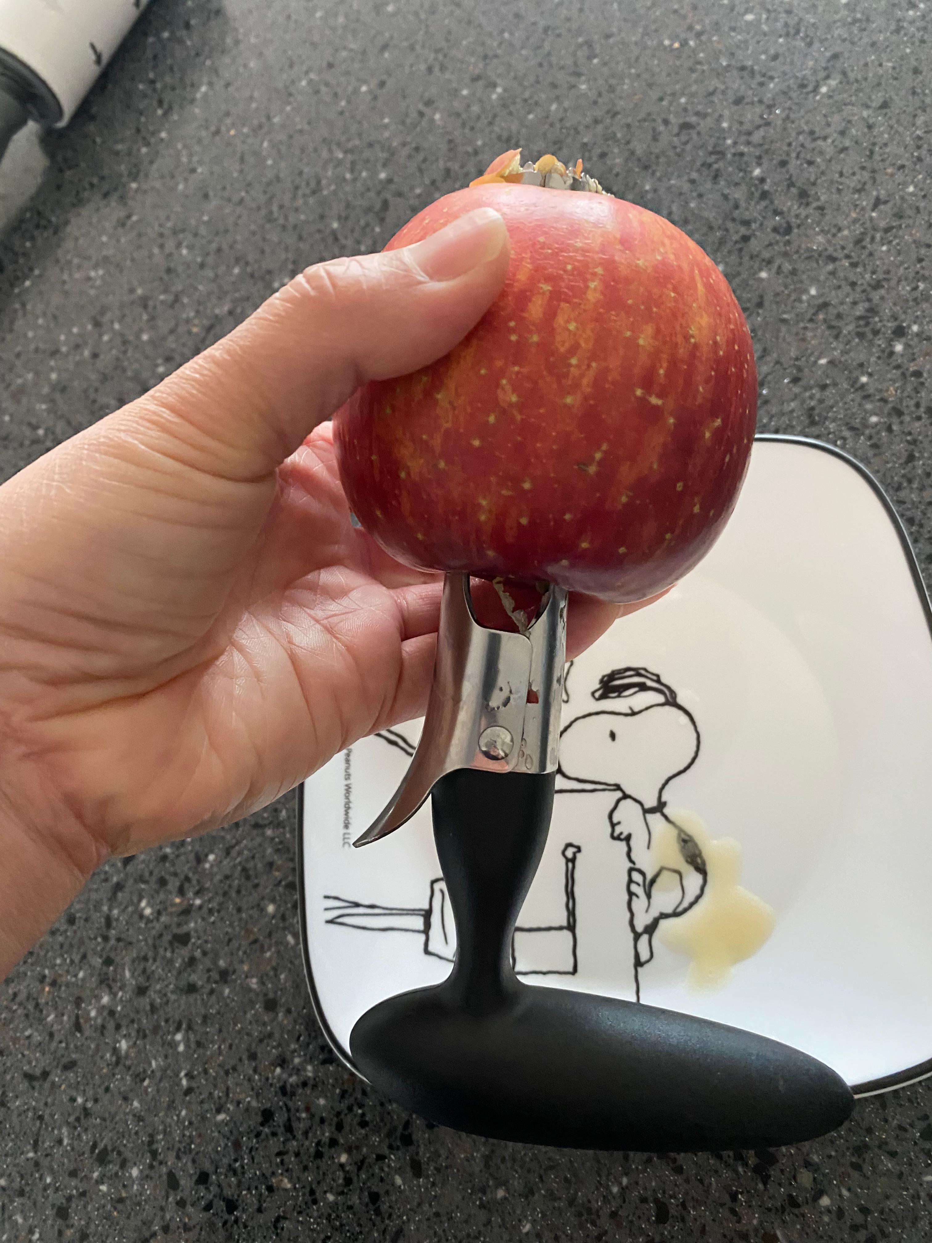 사과 씨빼는 도구로 사과 씨빼는 모습