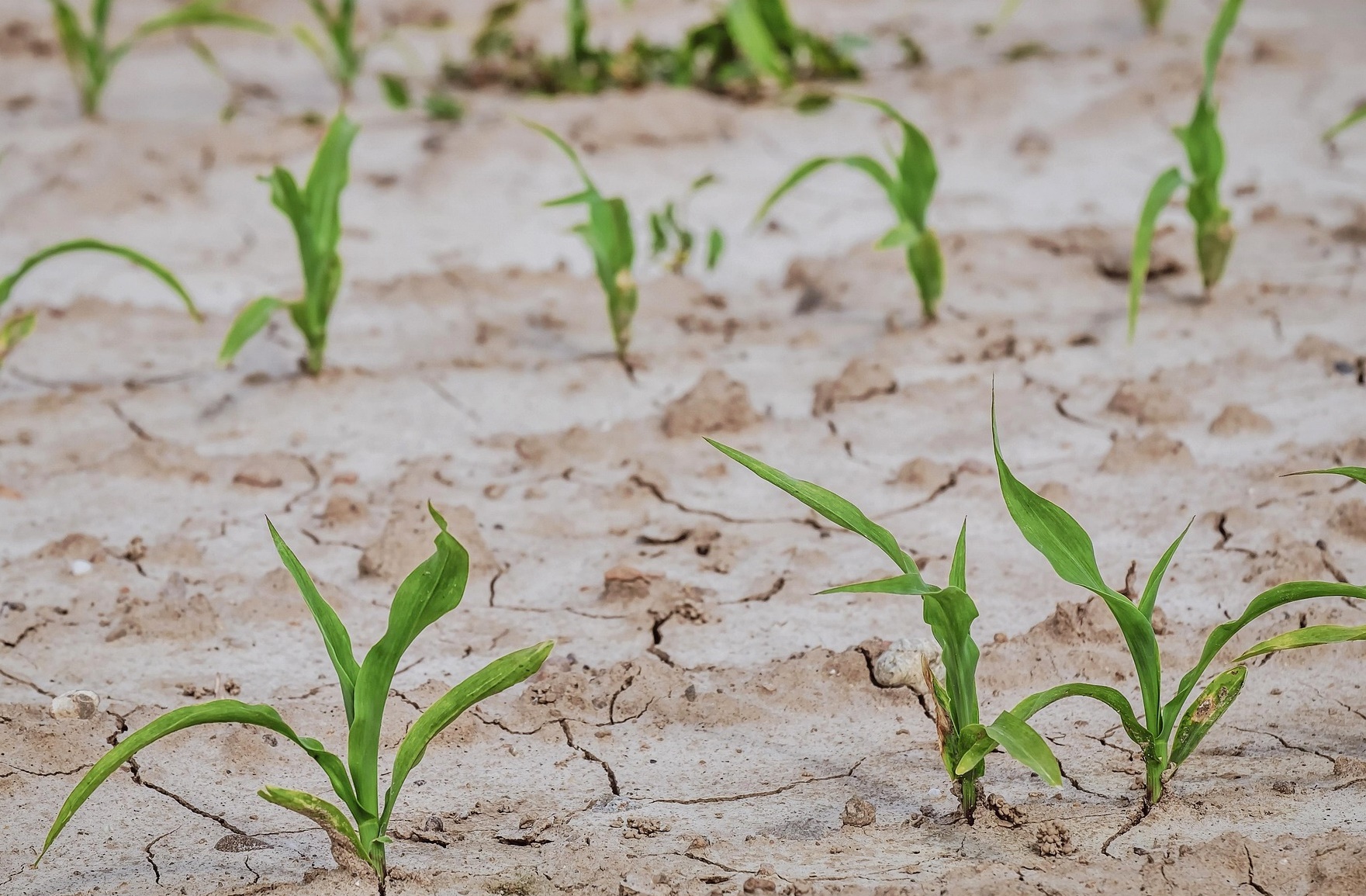 기후위기는 부동산 가격을 결정하는 기준이 바뀌고 있다