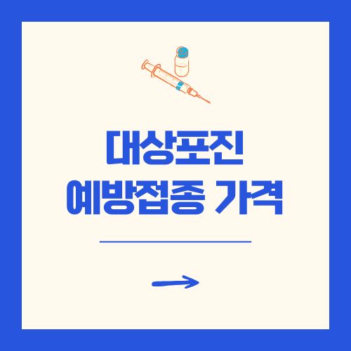 대상포진 예방접종 가격 무료 대상