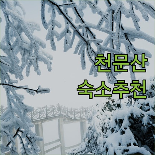 천문산 여행객 필독! 햄튼 바이 힐튼