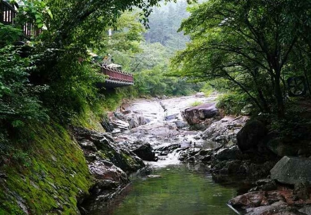 곡성 가볼만한곳 베스트 10