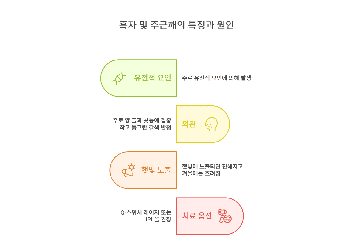 흑자 및 주근깨의 특징과 원인