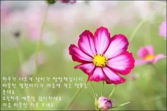 10월 인사말 예시 모음 영어_7