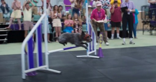 런트 결말 후기 리뷰(호평과 혹평) - 도그쇼 호주 코미디 드라마 가족 영화 영화다시보기추천