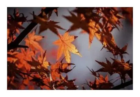 7080 무료음악듣기