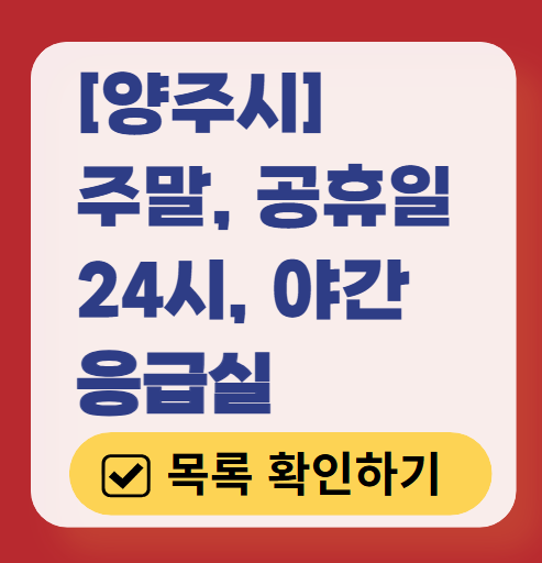 양주시 응급실 운영 병원 리스트 ❘ 주말, 토요일, 일요일, 공휴일 응급의학과 ❘ 24시 야간 응급진료 가능한 곳