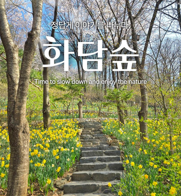 화담숲 봄 시즌 이미지