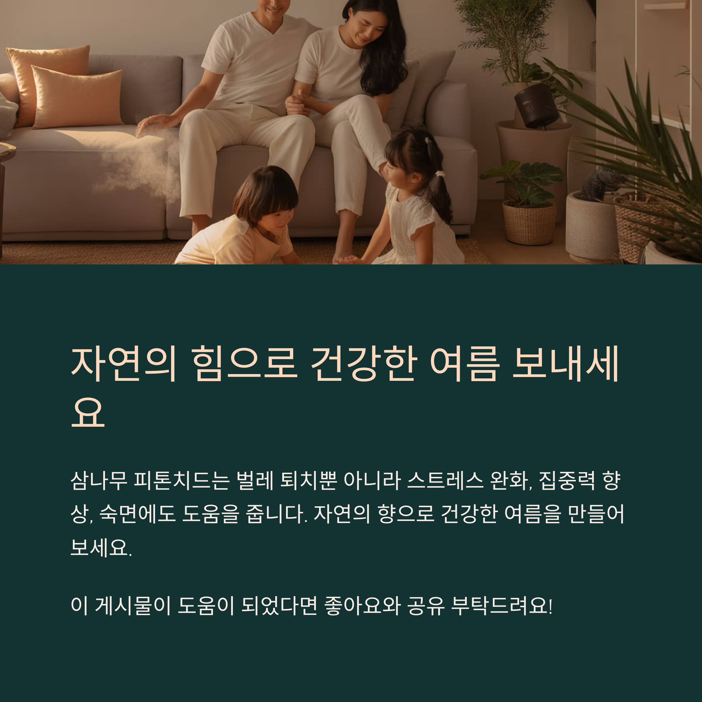 삼나무는 퇴치만이 아니라 힐링 효과도 있어요