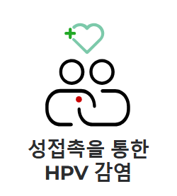 가다실 9가 가격