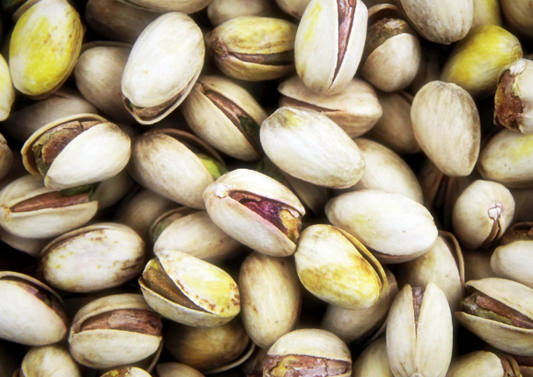 pistachio, 피스타치오, 피스타치오 효능, 피스타치오 나무, 피스타치오 칼로리