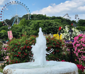 에버랜드 큐패스 플랜잇 예약 방법