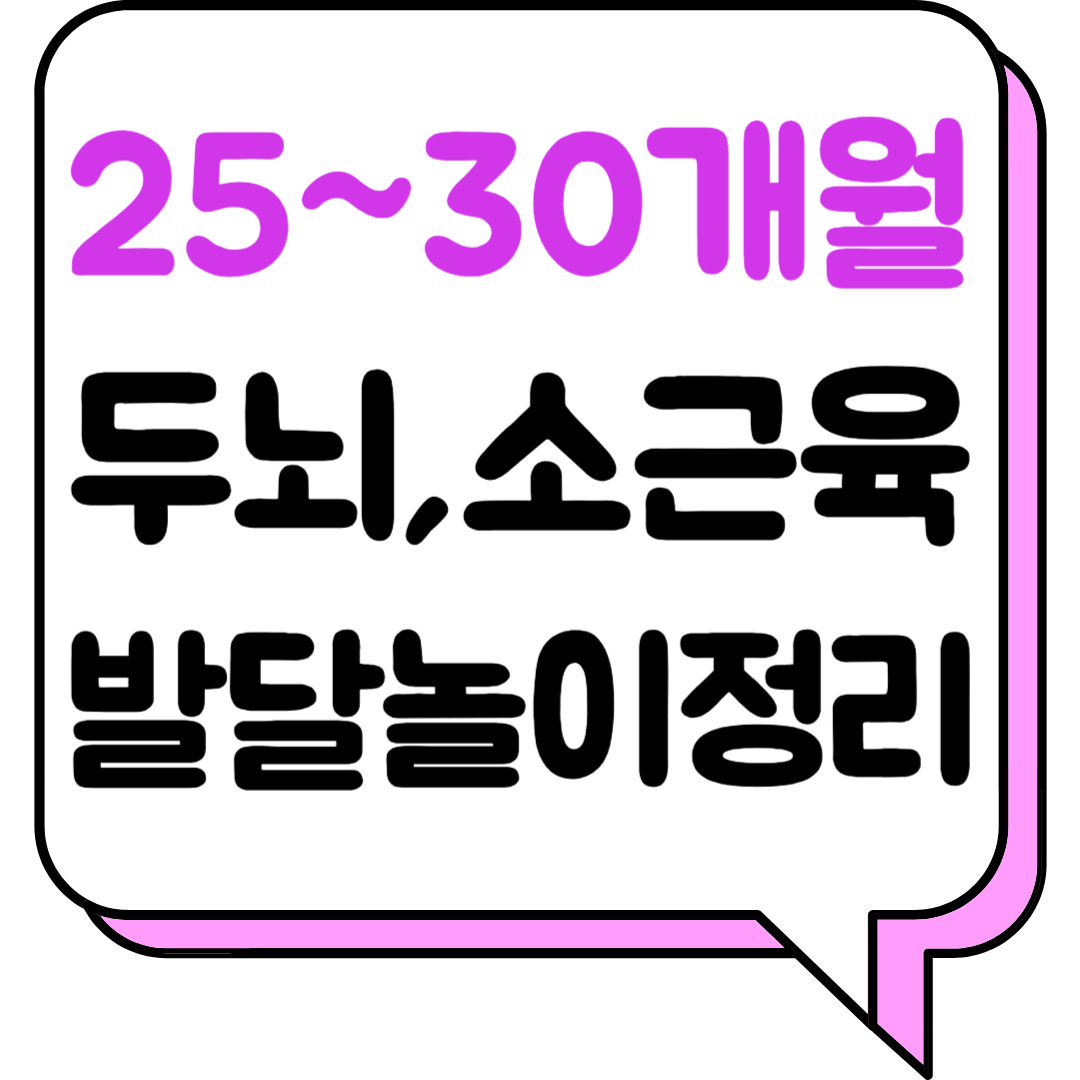 25~30개월 두뇌, 소근육 발달놀이 정리