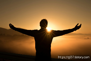 공복에 먹으면 살이 더 잘 빠지는 음식 7가지 – 다이어트의 숨은 비밀!