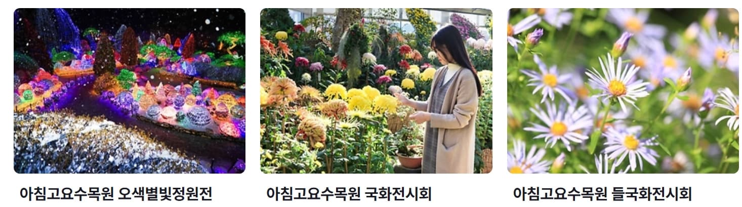 서울 근교 봄 여행지 추천 ❘당일치기로 다녀오기 좋은 힐링 명소 5선