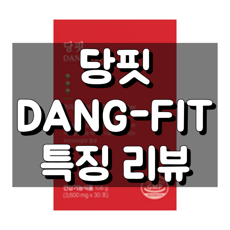 당핏 대표 이미지