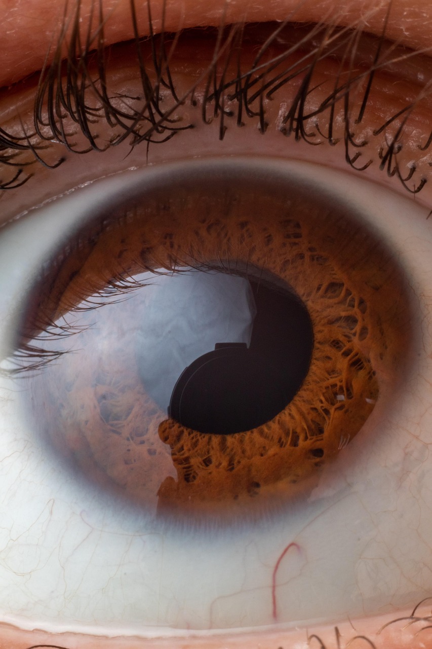 인체 눈 사진