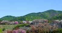 천안 각원사