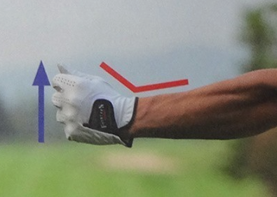 골프 코킹 방향