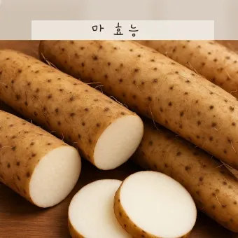 마 효능 보관법 먹는법 마즙 만들기까지 종합 가이드_12