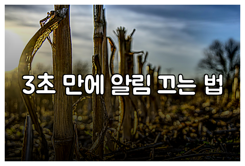 3초 만에 알림 끄는 법