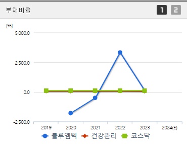 블루엠텍 주가전망 부채비율 (1008)