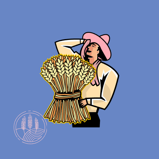 이천-쌀-문화축제