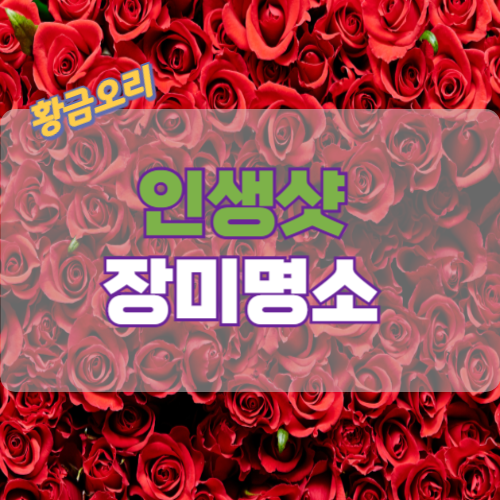 인샹샷 장미명소를 함께 알아보는 시간