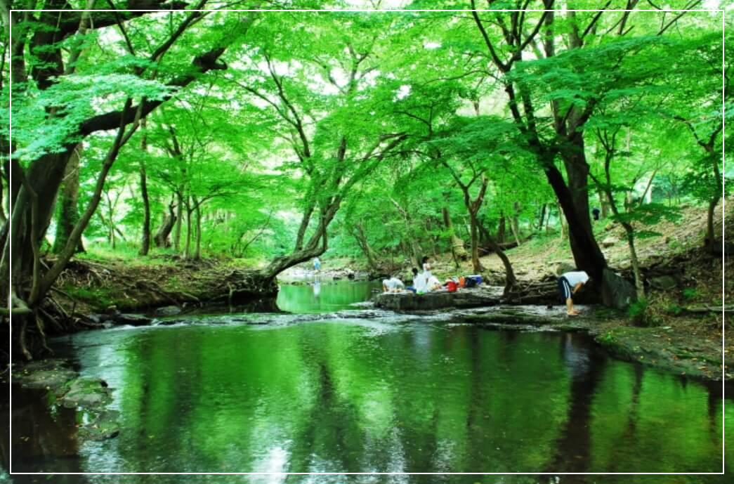 고창 가볼만한곳 베스트10 선운산도립공원