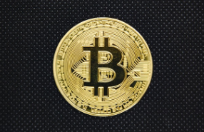 오피셜트럼프 코인 업비트 거래