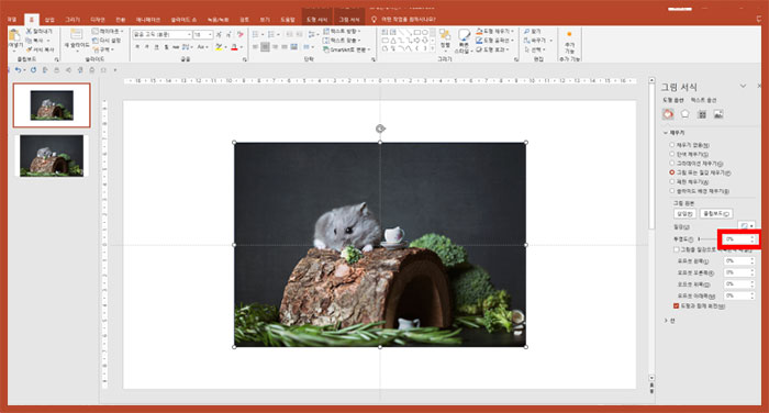 파워포인트 ppt 이미지 사진 투명도 조절