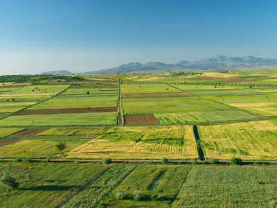 2025년 제21대 대통령 선거 사전투표 일정 참여 방법