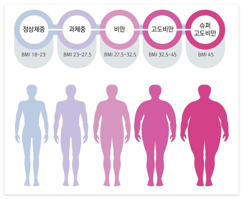 비만도 검사