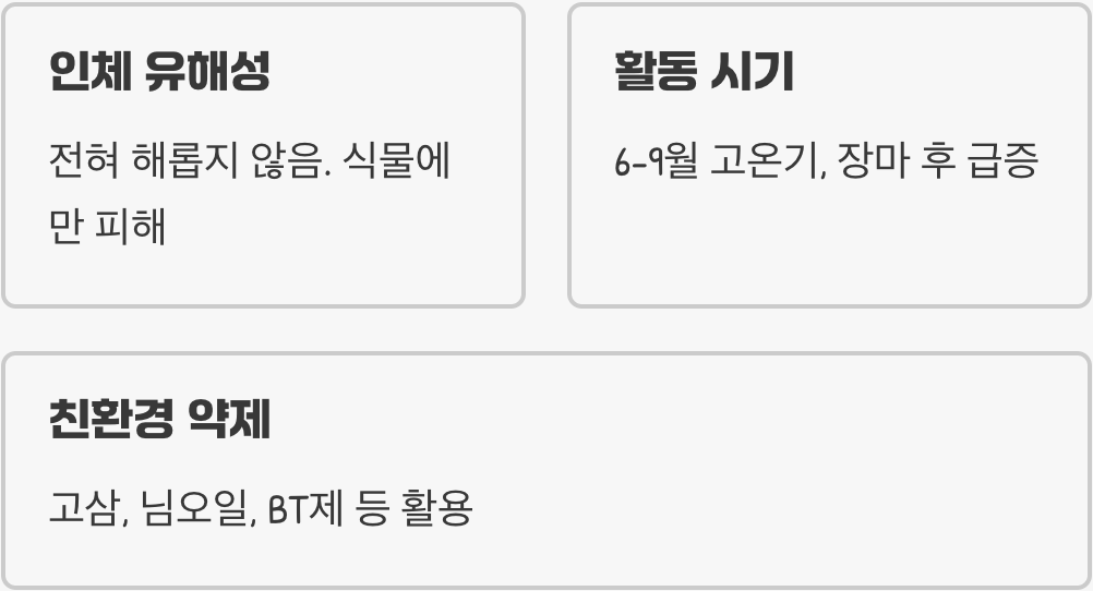 우리 집 텃밭에 담배나방 생기는 이유&amp;#44; 원인부터 잡아야 재발 안 합니다 (알 낳는 장소)