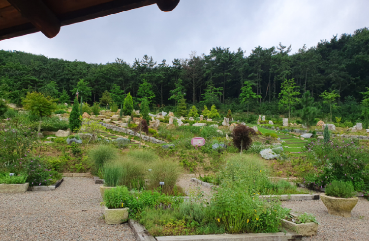 바다향기 수목원