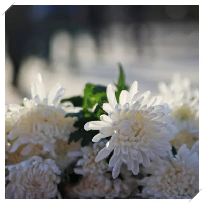 장례식장 절하는 방법 예절 복장1