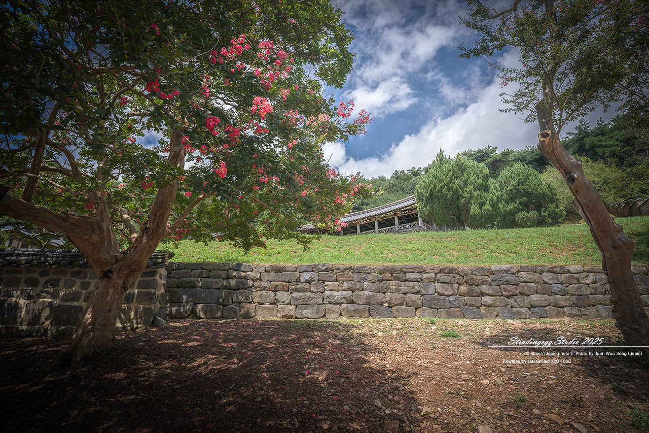 #논산 #종학당 #파평윤씨 #배롱꽃