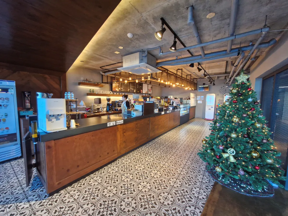 조명이-은은하게-비추고-있는-카페-카운터