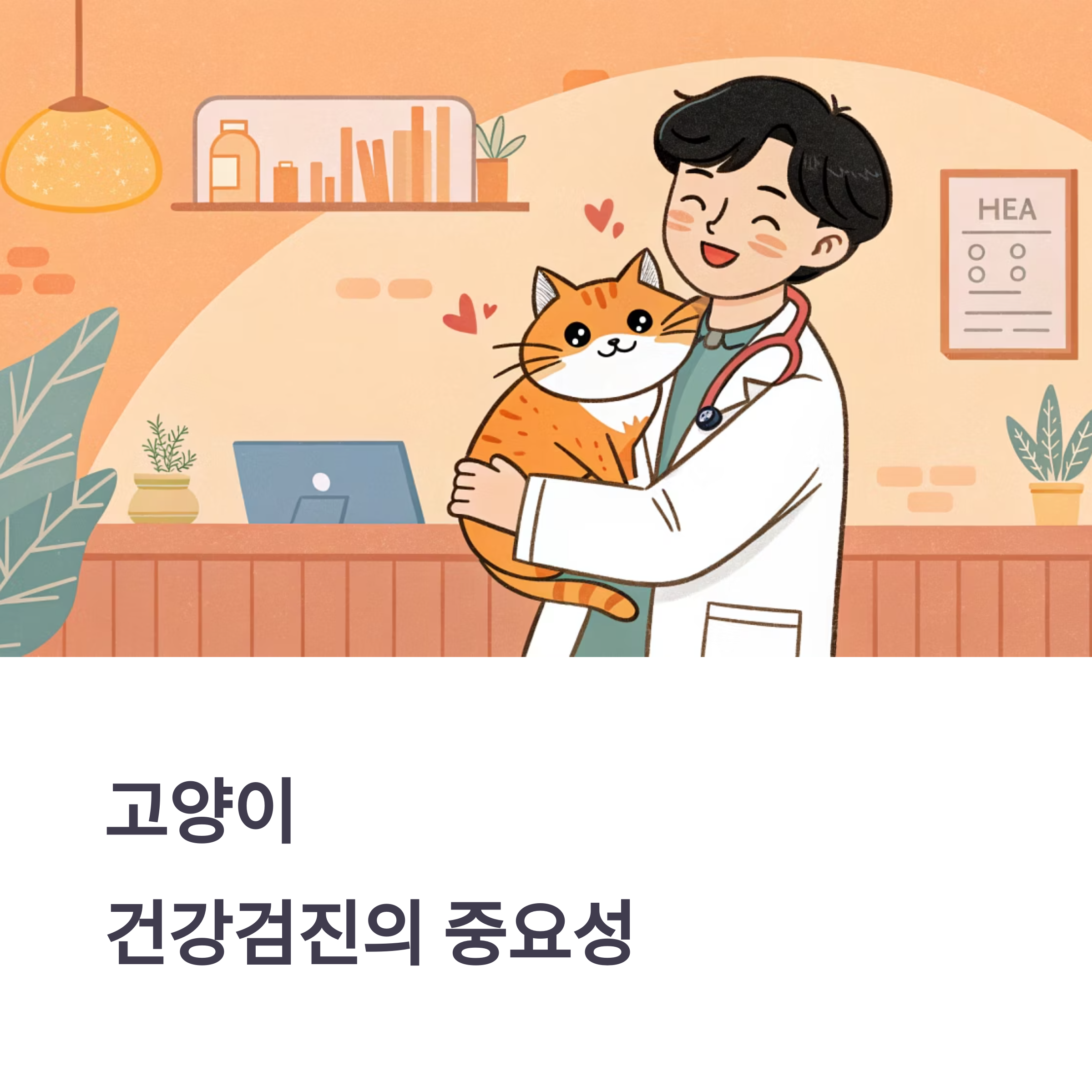 고양이 건강검진 필수 항목별 해설