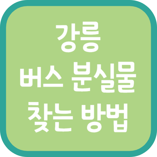 강릉 버스 분실물 찾는 방법