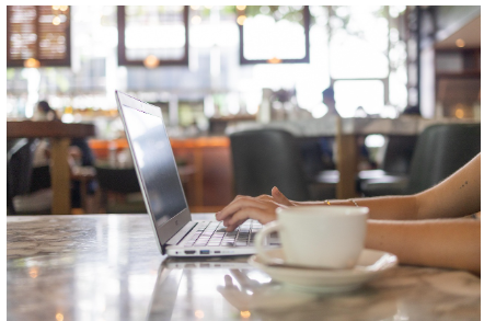 디지털 노마드의 직업 선택